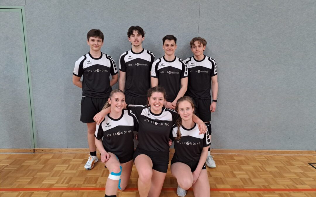 mixed-Volleyball Landesmeisterschaft